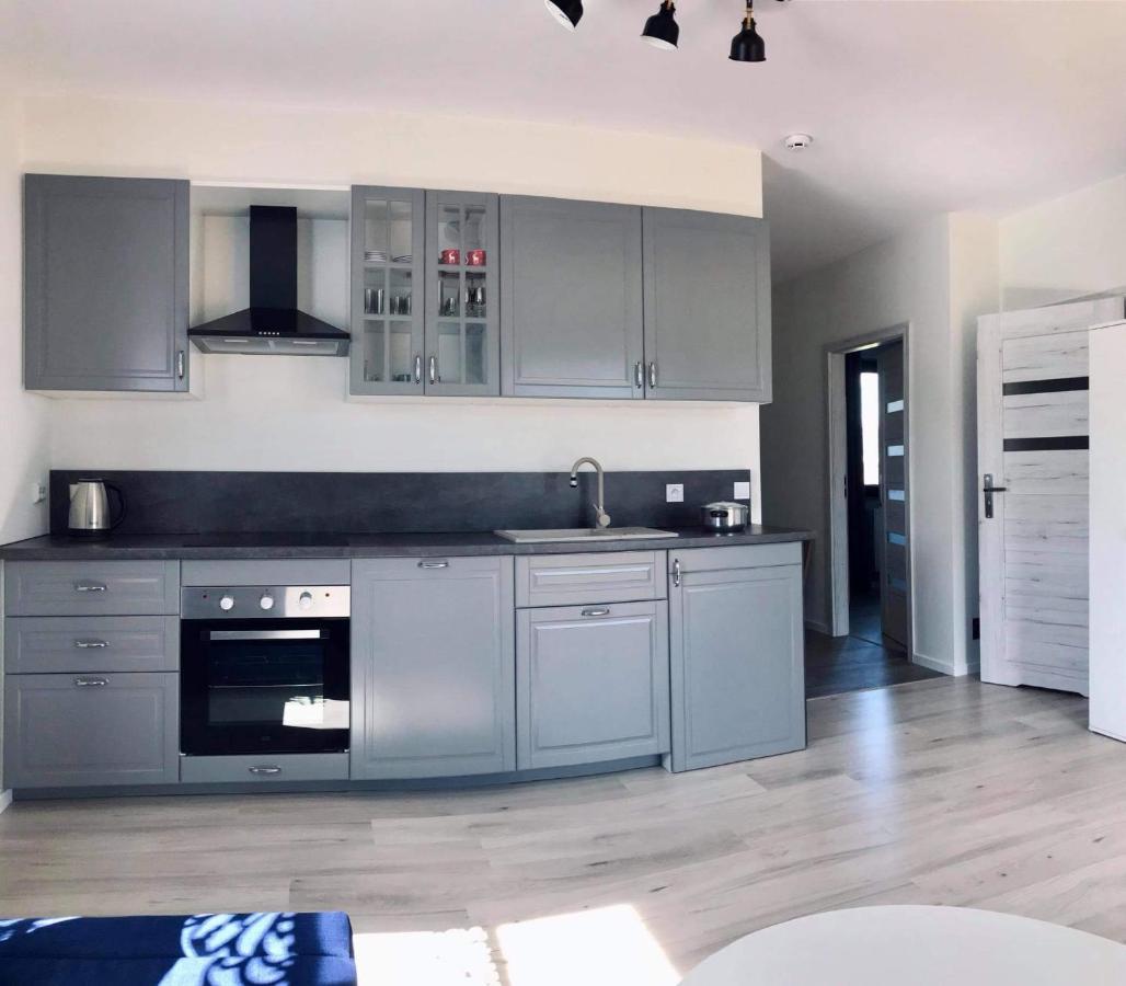 Apartament Przy Potoku Zubrzyca Gorna Dış mekan fotoğraf